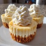 boozy baileys mini cheesecakes recipe